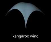 kangaroo wind_icon
